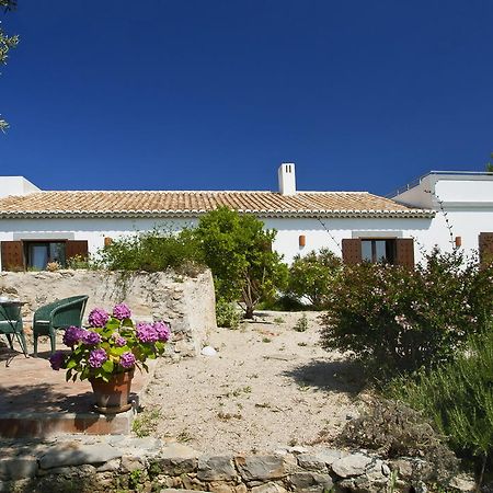 Monte Do Alamo - Turismo Rural Tavira Eksteriør bilde
