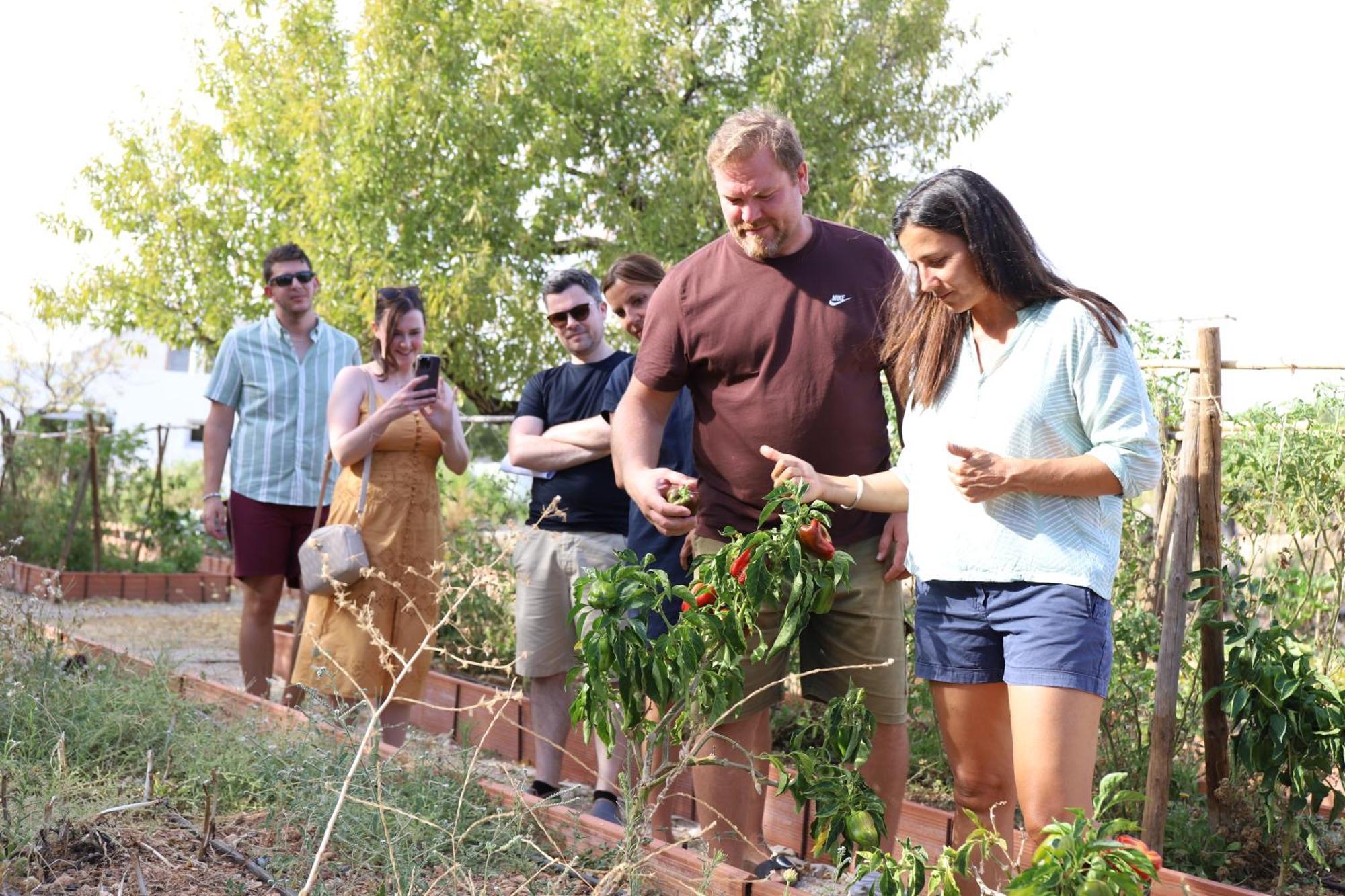 Monte Do Alamo - Turismo Rural Tavira Eksteriør bilde